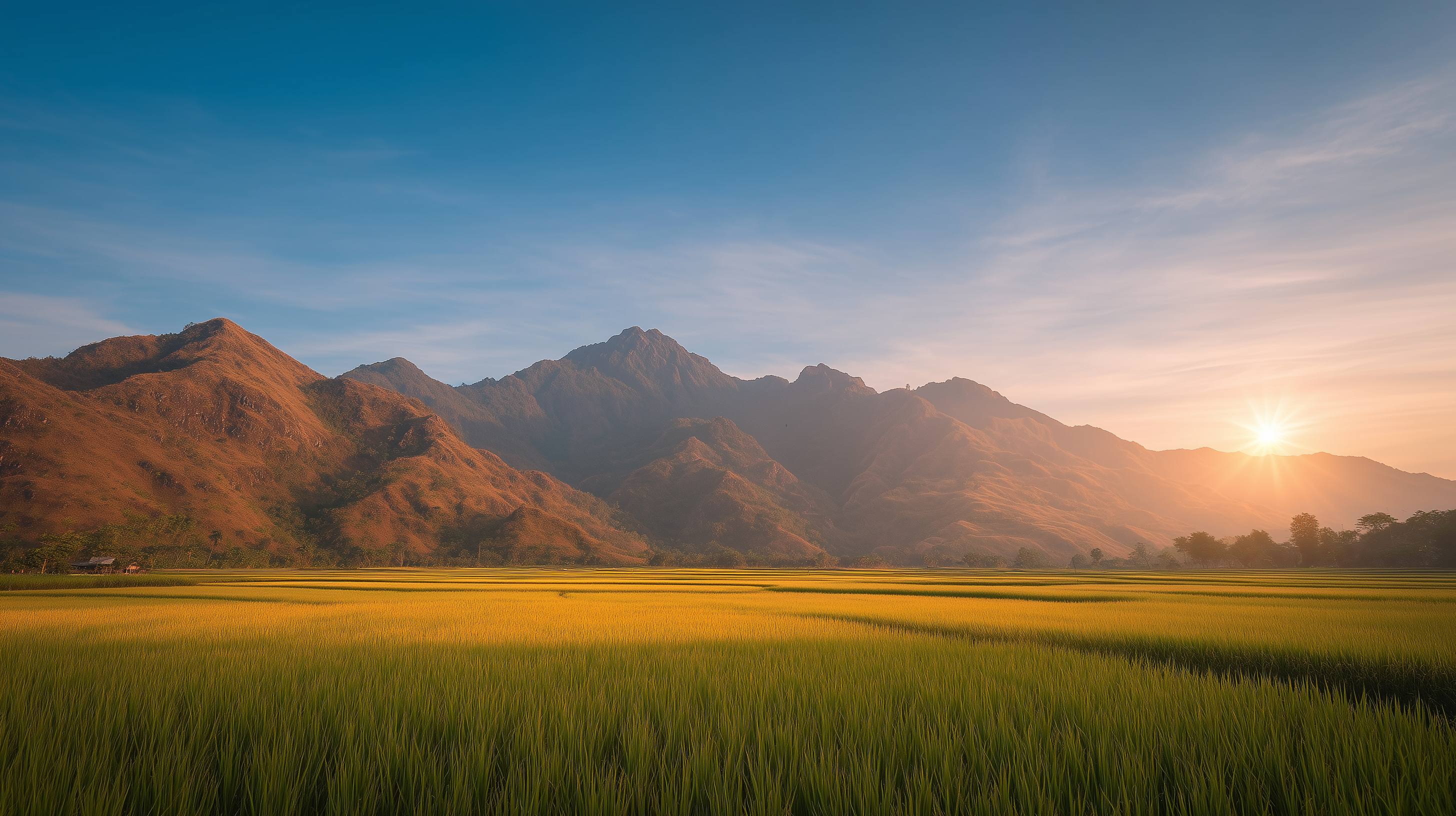 Enterprise AI. Locally deployed.